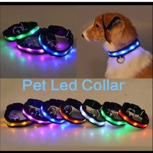 😍🐕 Pet LED Light up Collar🐕😍